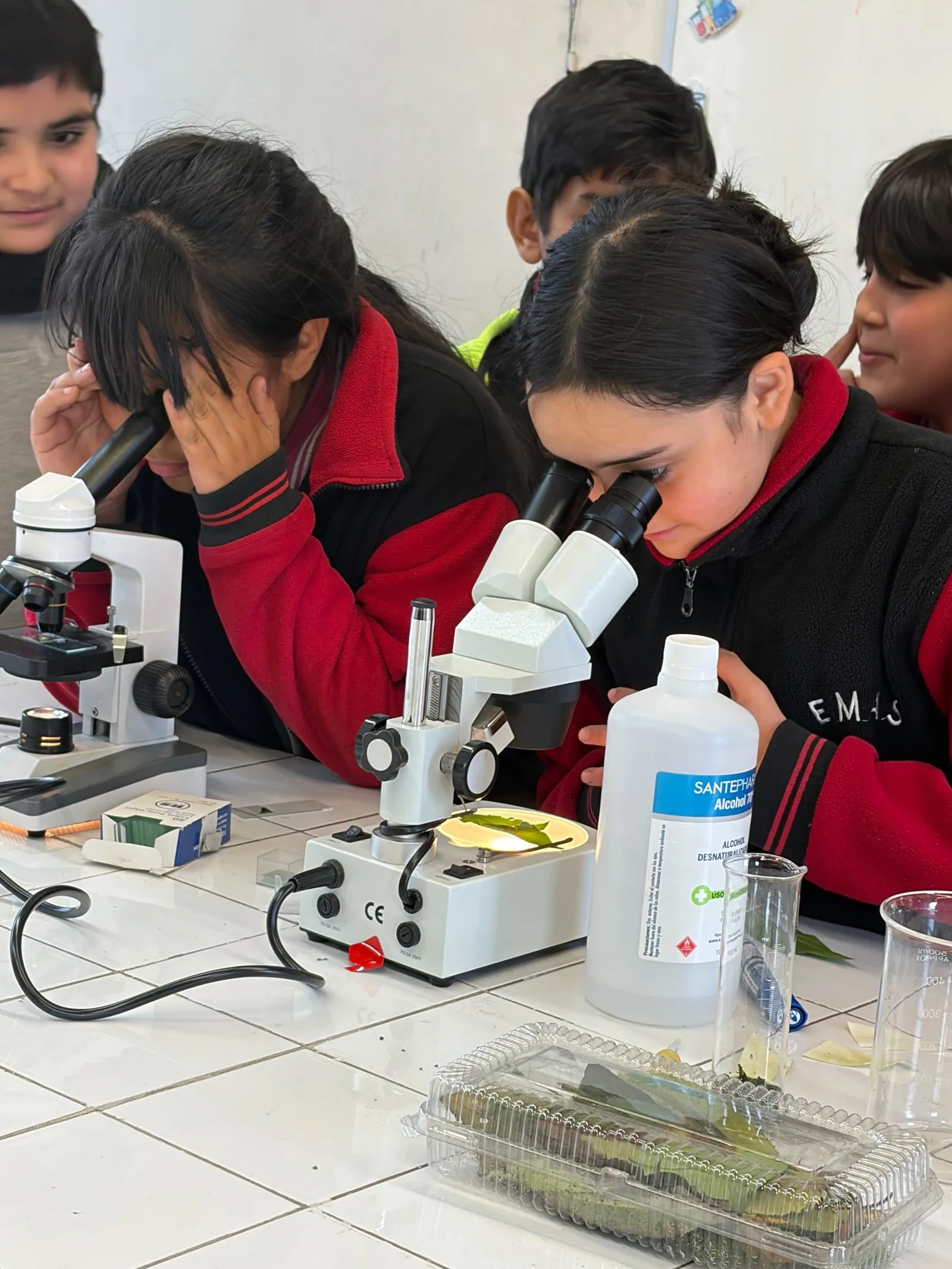 Estudiantes observando muestras al microscopio en el laboratorio
